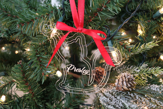Pet Ornament | Custom Christmas Ornament | Gift for Animal Lover | Holiday Cat Lover Gift | Custom Christmas Ornament | Pet Lover Ornament